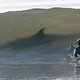 Newport Surfer's Avatar