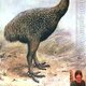 Large_Emu's Avatar